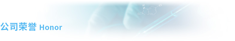 公司榮譽.jpg